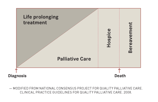 Hospice Vs Palliative Care Chart